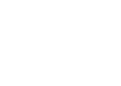 Spider Racing