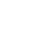 Spider Racing